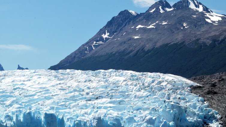 Антарктически микроби оцеляват при температури от минус 75&deg; 