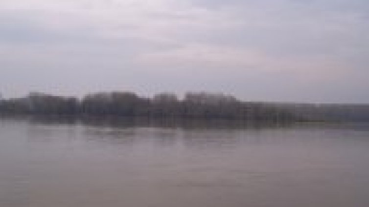 Дунав при Видин е 940 см, расте с над сантиметър на час*