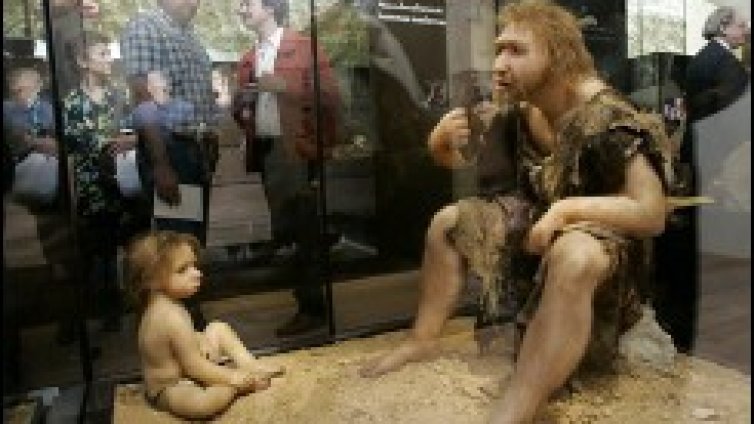 Съвременият човек не произлиза от неандерталеца