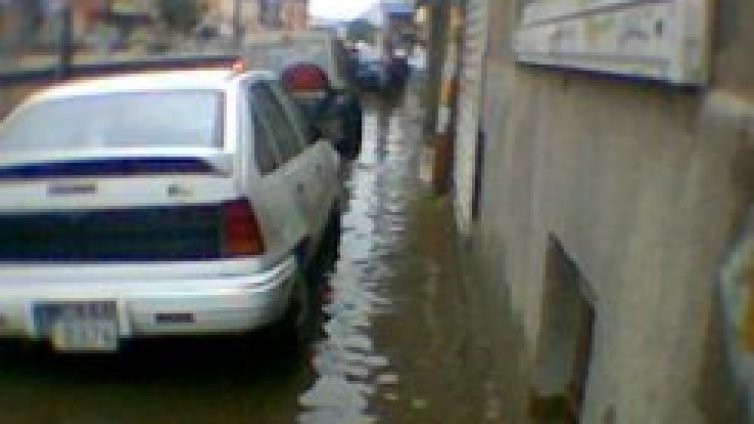 Природата си го изкара на София