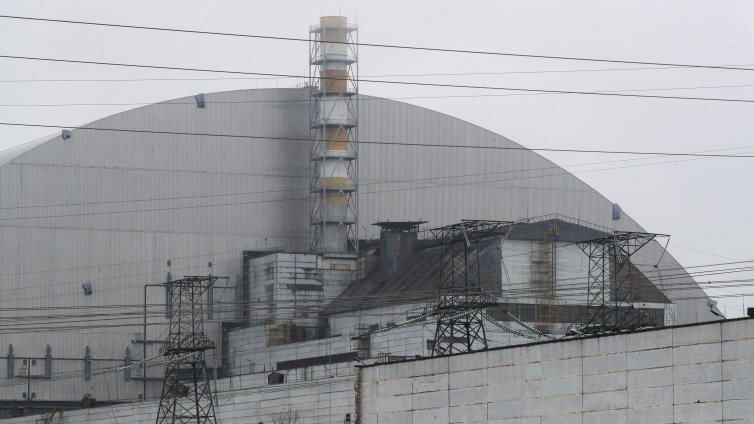 Чернобилската гъба, която сякаш живее от радиация