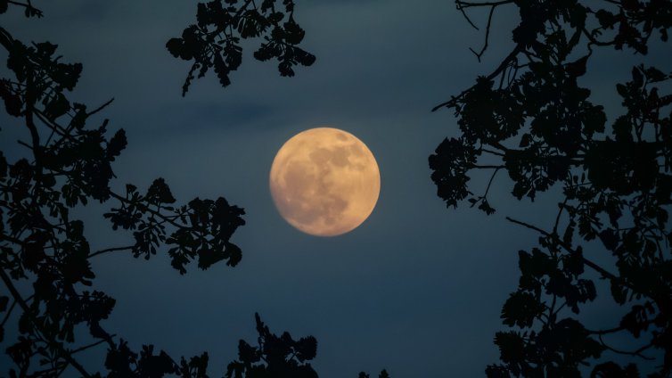 Майско пълнолуние - как ще се отрази на всяка от 12-те зодии