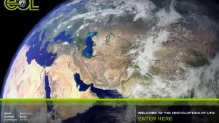 Всичко живо на планетата - в енциклопедия
