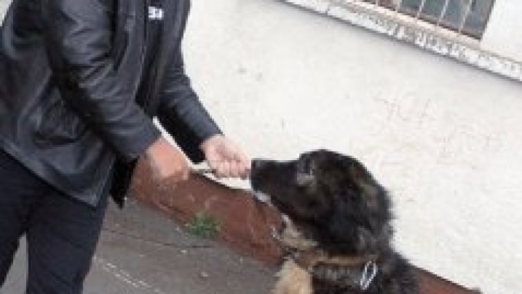 Искам си пък София