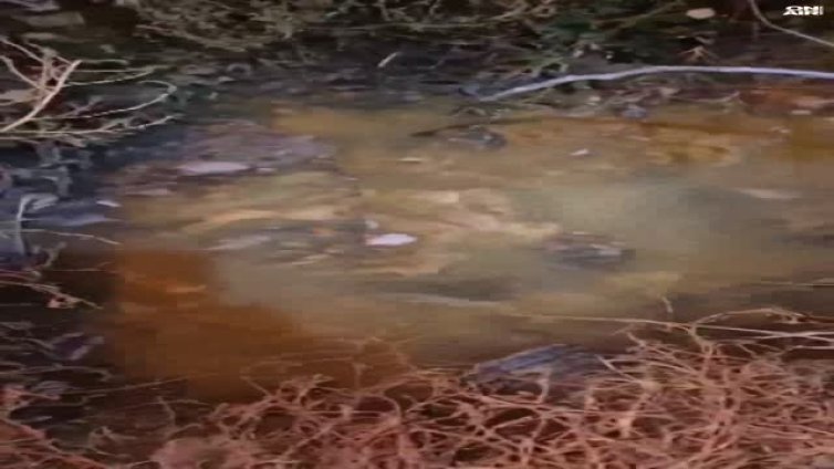 Сигнал за отпадни води край блок в &ldquo;Малинова долина&rdquo; ВИДЕО