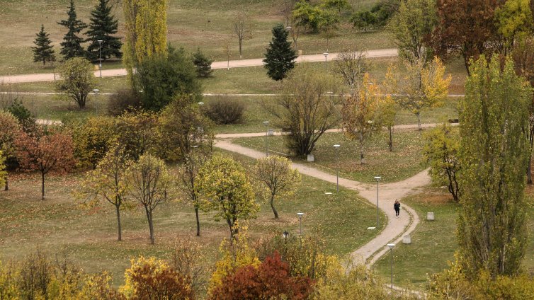 Лекар:15 минути на слънце и всекидневни разходки срещу остеопорозата