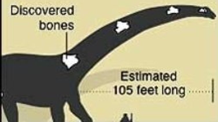 Откриха един от най-големите динозаври