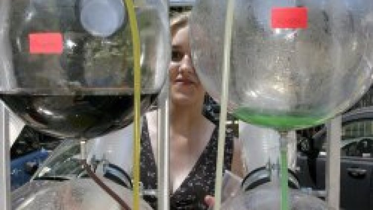 Опасен подсладител в безалкохолните