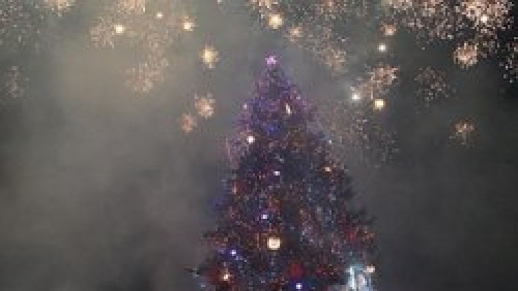 Елхата на Столична община светна, чакаме още 70