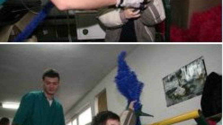 Елхите вече не са това, което бяха