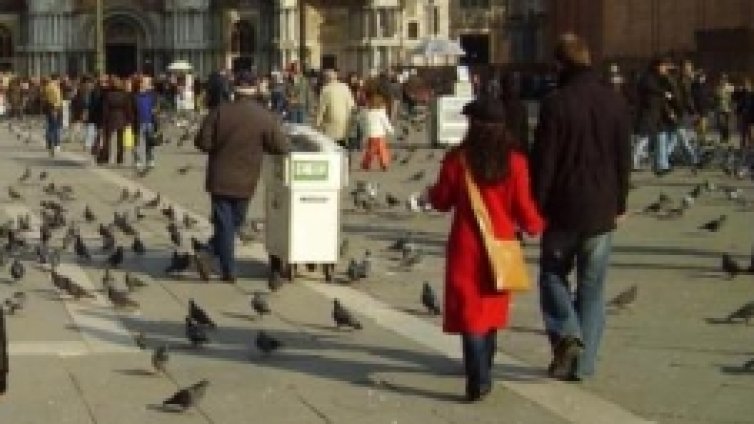 Храниш гълъб &ndash; значи си извън закона