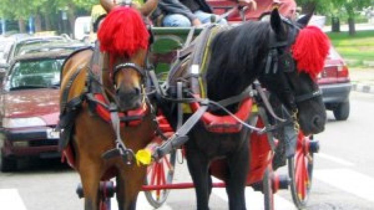 Туристически неволи: британци се "разходиха" с файтон на ужасите