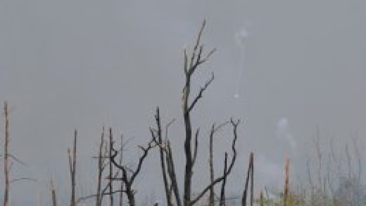 Пак гърми край Челопечене