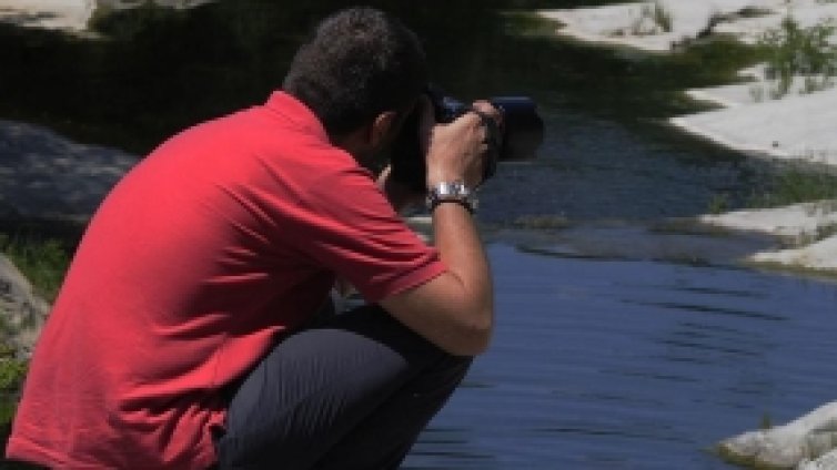 Лято в обектива