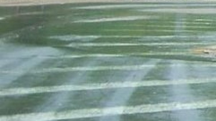 8 кандидати за строежа на магистрала "Тракия" от Нова Загора до Ямбол