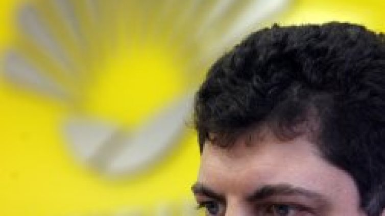 НДСВ сами на изборите
