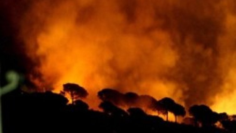 Пожари вилнеят в Калифорния