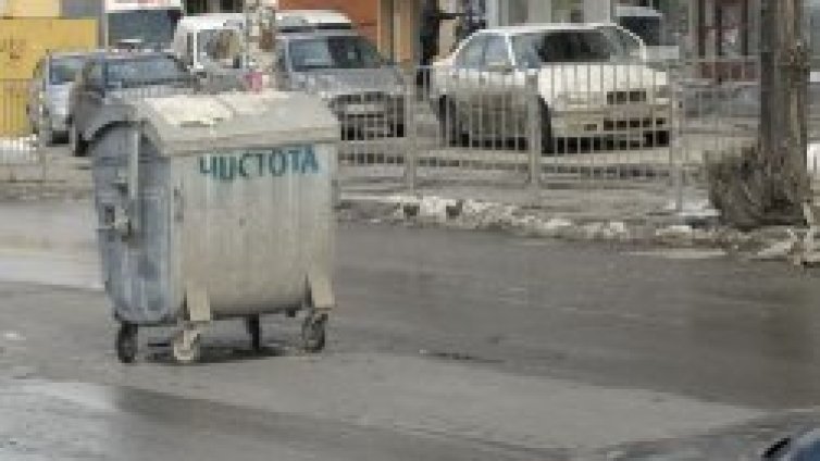 Вълка си обира контейнерите