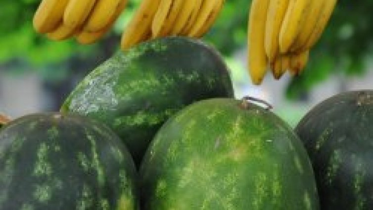 Колко силно кризата удари България спрямо другите страни от ЦИЕ?