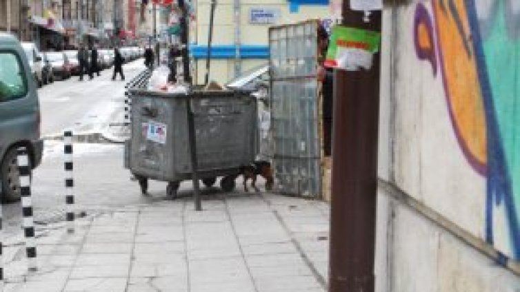 Снимай с Dnes.bg и София филм фест