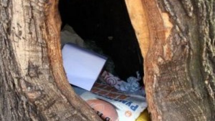 Снимай с Dnes.bg и София филм фест