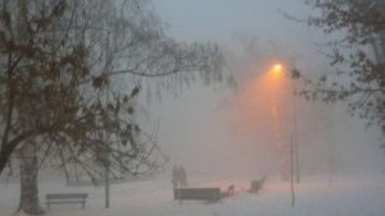 Снимай с Dnes.bg и София филм фест