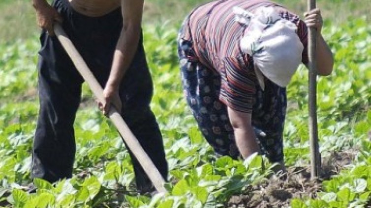Активността на вота гони 20%. София отново с най-ниската