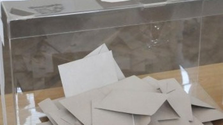 ПАСЕ: Защо София не ни кани за изборите?