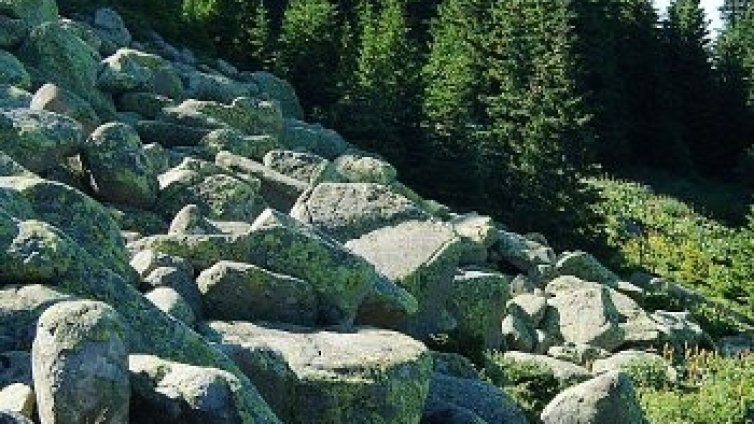 3000 души ще катерят Черни връх
