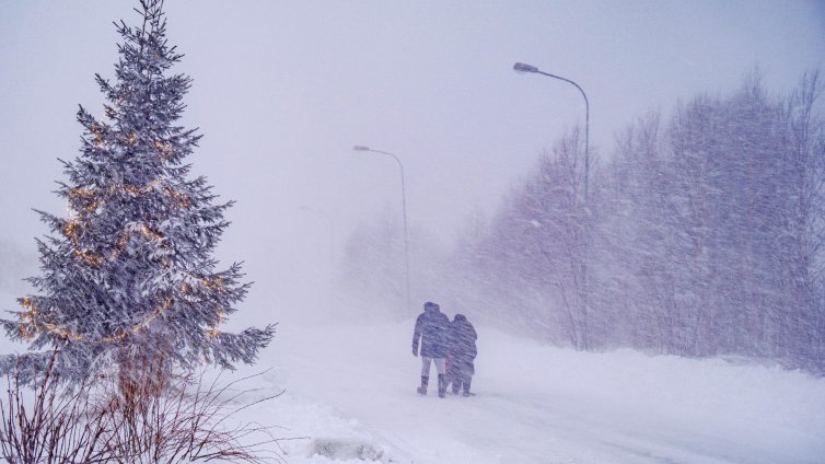 Зимна буря в Швеция остави десетки хиляди домакинства без ток