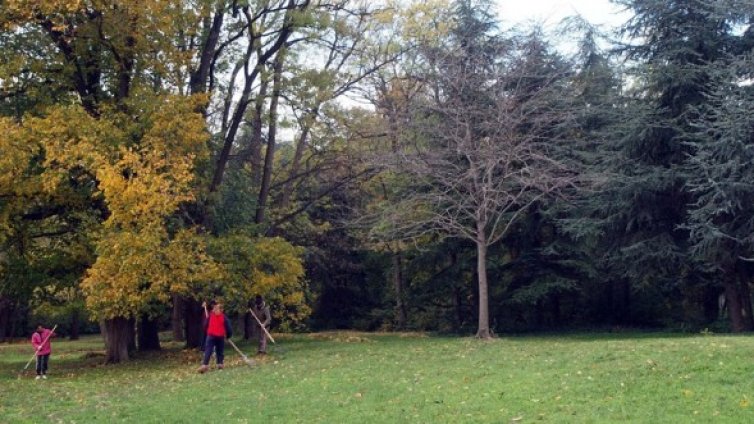 17 коли курдисани в градинки в столичния район Оборище