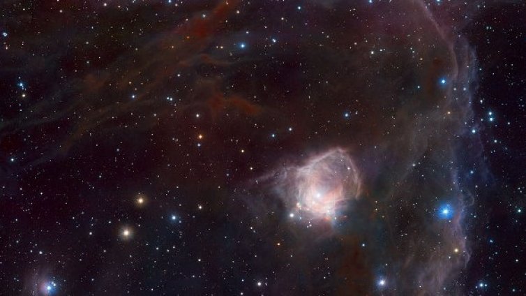 Белтъци, динозаври и още 9 големи открития