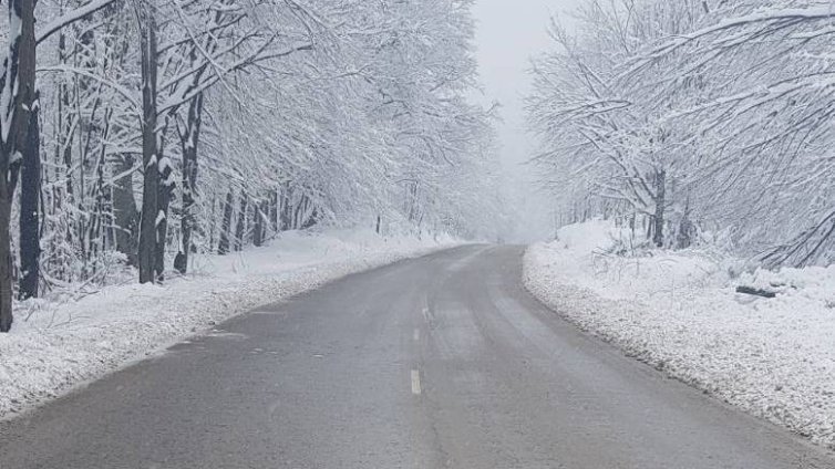 Пътят Монтана-София през Петрохан е почистен от снега и проходим 