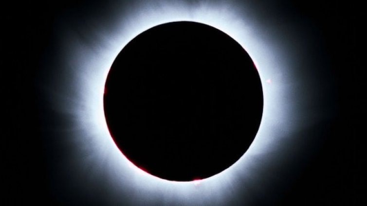 Под диригентството на звездите: Лъв