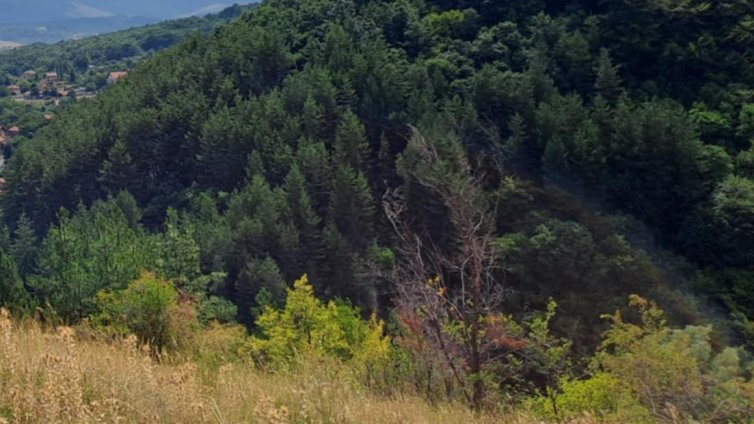 МОСВ обяви две нови защитени местности &ndash; Маринов дол и Сазладжата
