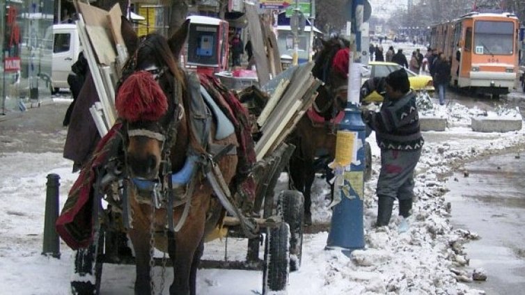 Кметицата не ще каруци в София, гони ги с глоби