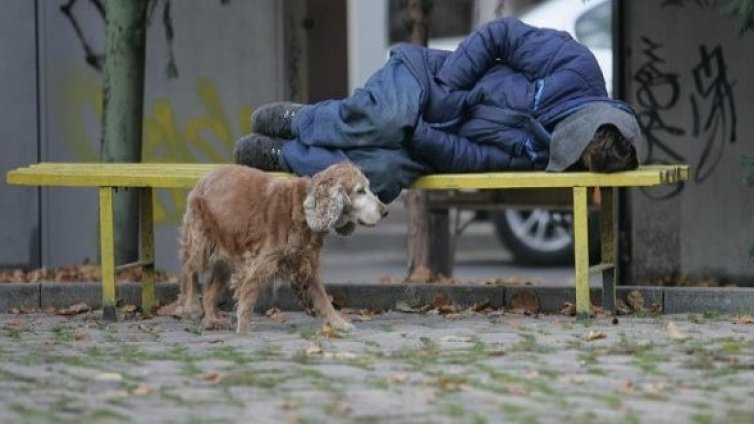 Сладки сънища за нови езици