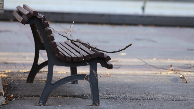 Голям клон на дърво падна и уби мъж в Пловдив