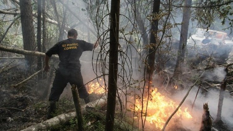 Еколози: Пожарите в Русия променят световния климат