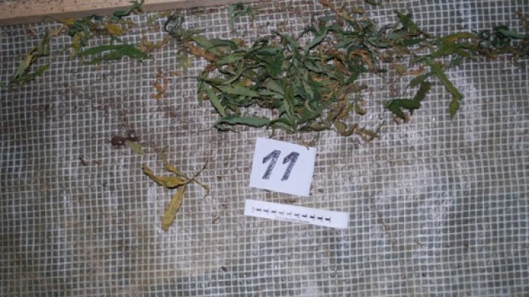 28-годишен дилър на наркотици е задържан в София