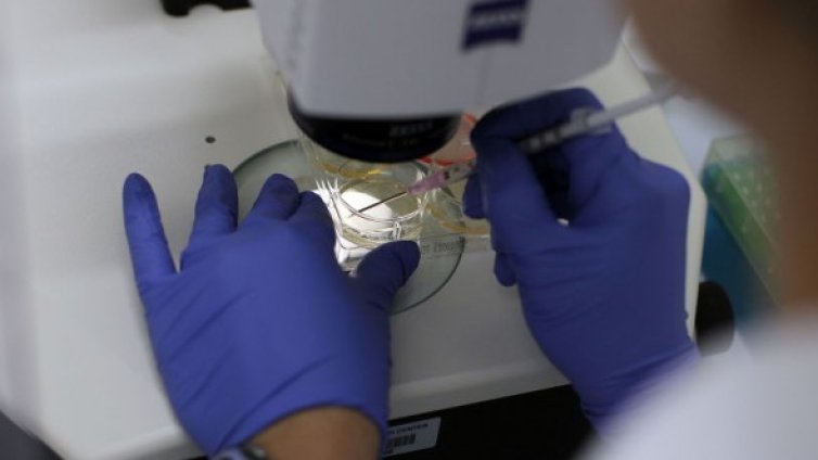 Учени напредват в битката със СПИН-а