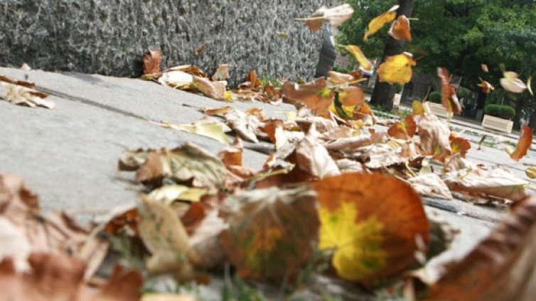 БАН: Чакаме още трусове. Дано са слаби