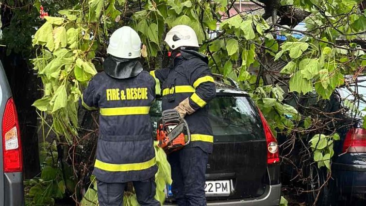 Паднали дървета от обилния дъжд в Пловдив и Варна, наводнени улици в Бургас