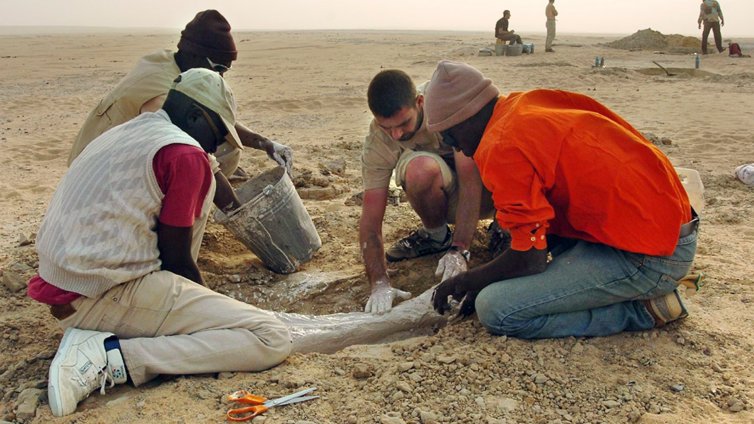 Откритие на седем милиона години: Двукрака маймуна може да е първият предшественик на човека