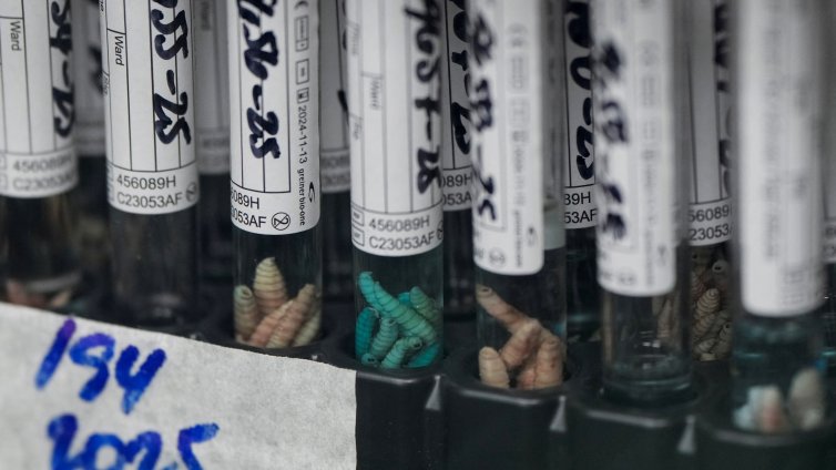 Жител на Калифорния е дал положителен тест за чума