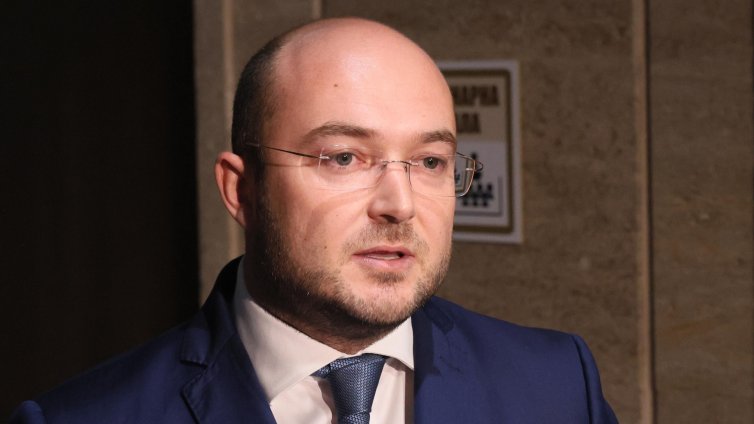 Прокуратурата се заема със случая на прегазеното куче Мая