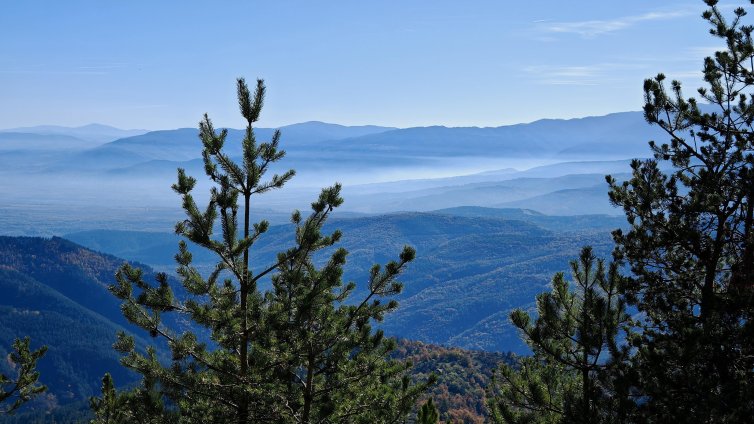 Времето днес: Слънчево, на места до 10 градуса 