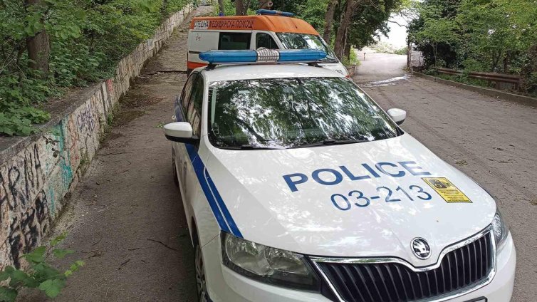 Кола се обърна след удар с глиган, 20-годишен е с опасност за живота