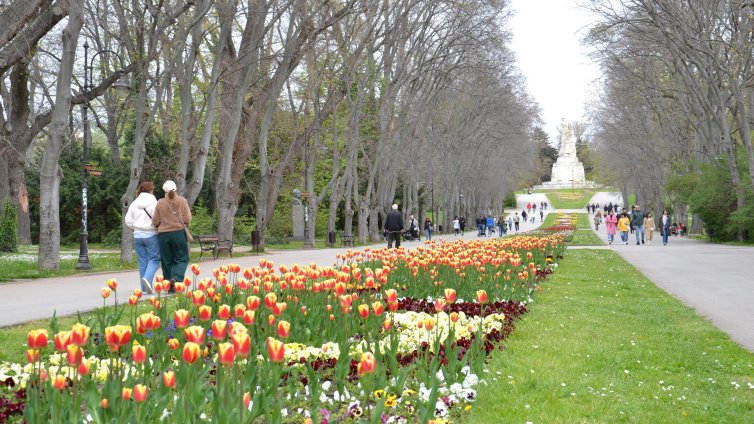 Слънчево начало на деня в сряда, след обяд на много места ще превали