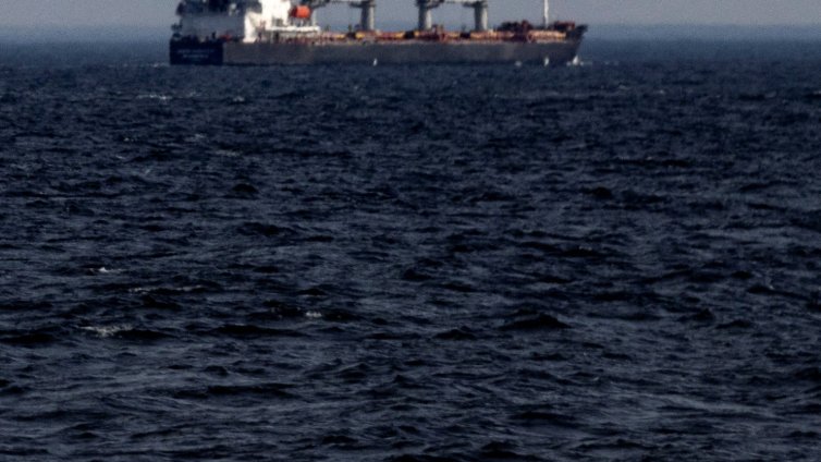 Риба балон – нов опасен хищник в Черно море